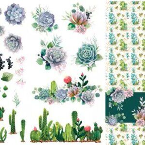 Cacti & Succulents Transfer - Belles And Whistles-Dixie Belle ~ Furniture rub on